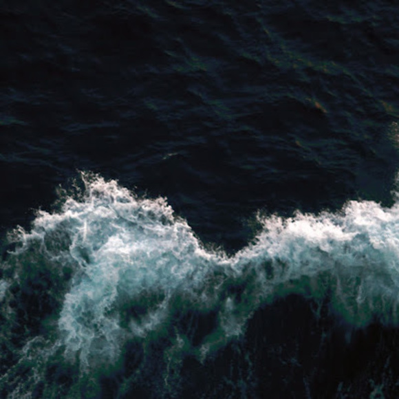 Meet your Posher, Vuong - Picture 1 of 1